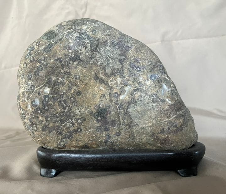 岐阜県根尾谷の天然菊花石＆紅孔雀石