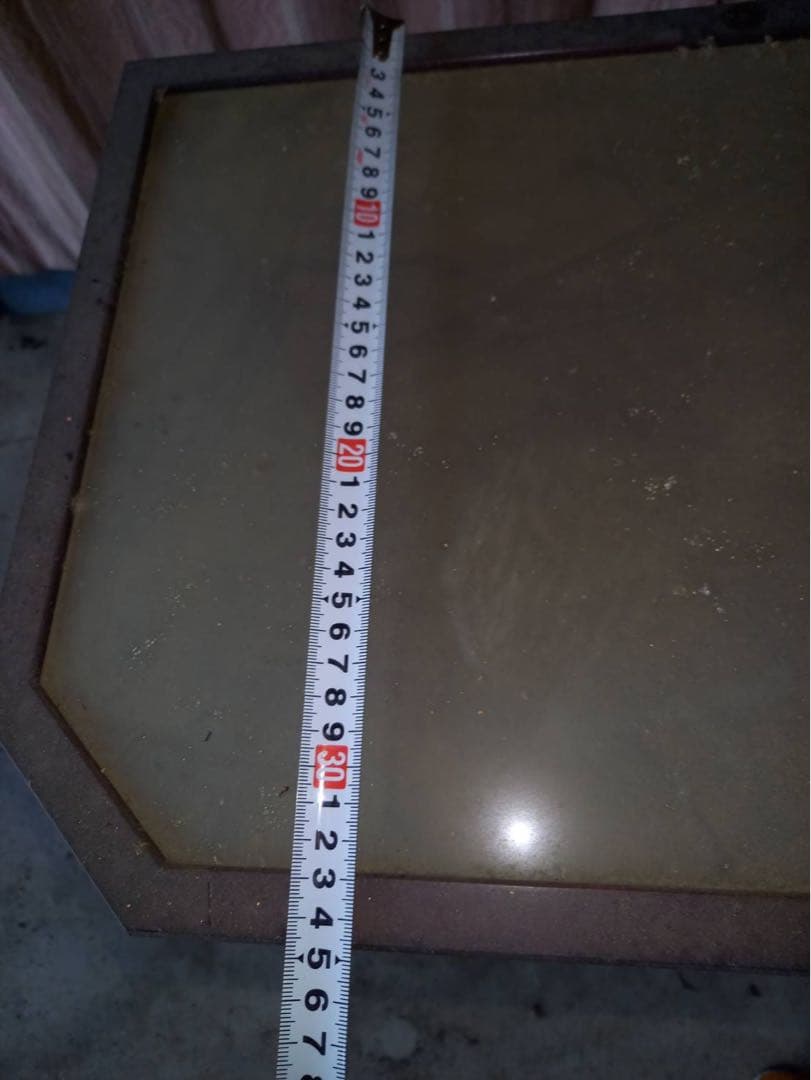 フクロウの剥製