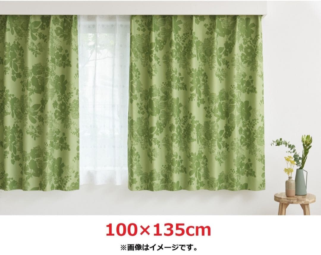 スミノエ 遮光カーテン イーブイズ 100×135cm 2枚入り 美品