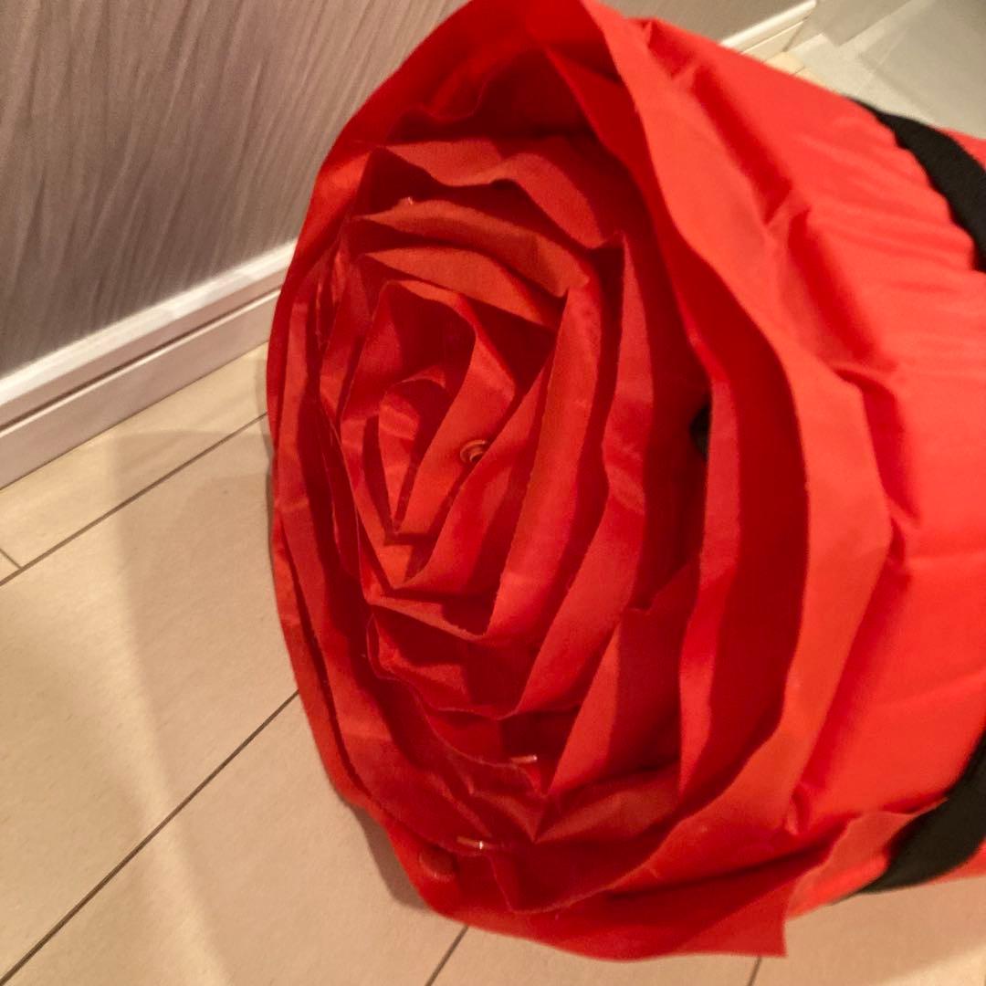 1回使用　直営店限定　コールマン　キャンパー　インフレーターマット　ダブル