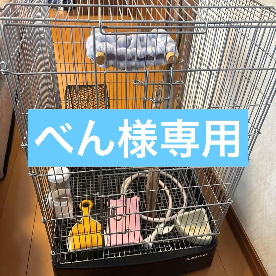 イージーホーム40ハイ・色々セット、おまけ砂浴び