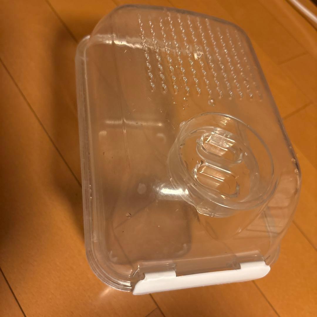 イージーホーム40ハイ・色々セット、おまけ砂浴び