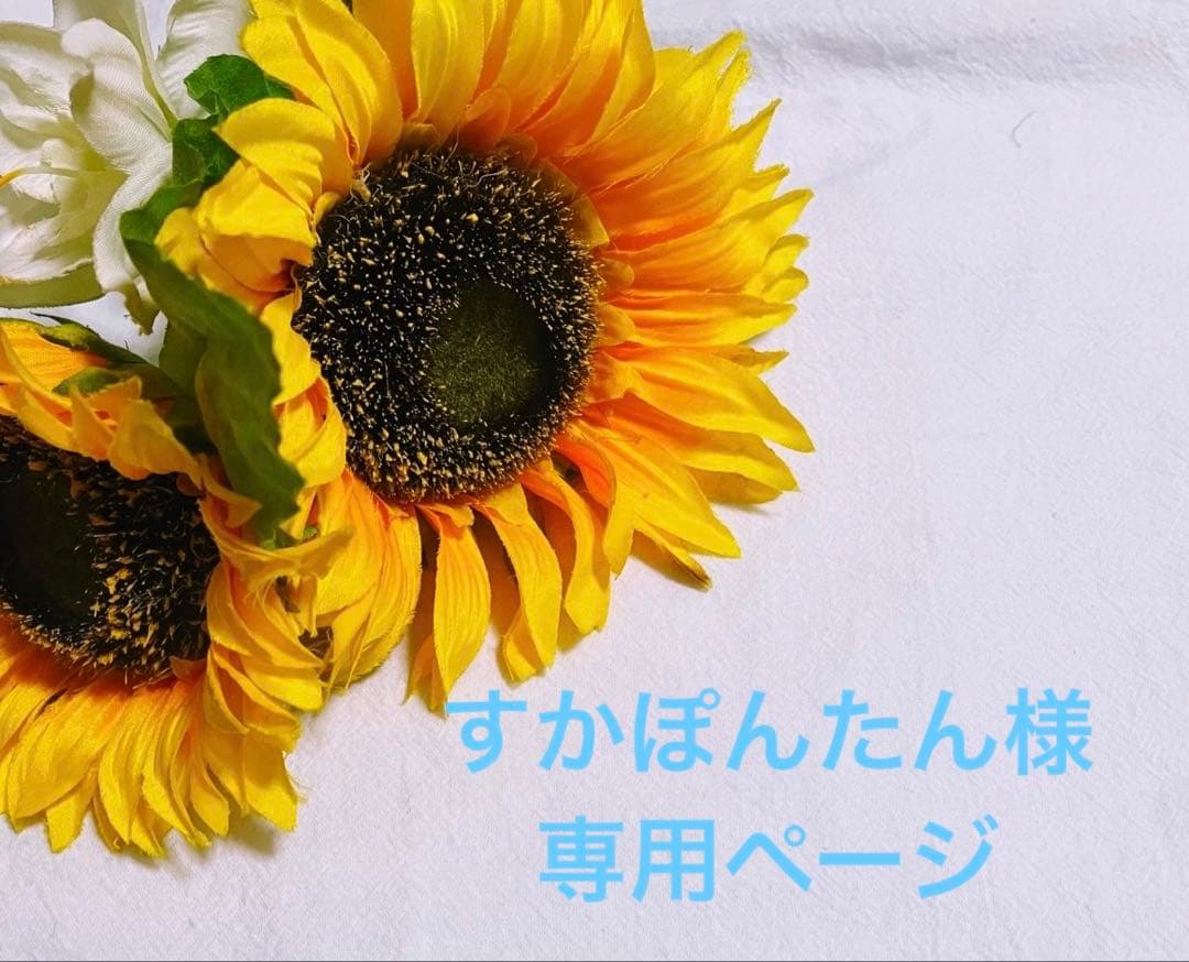 すかぽんたんさま専用ページです。