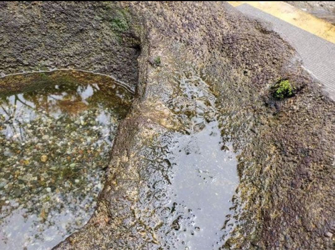 メダカ鉢　睡蓮鉢　オリジナル一品物手造りメダカ鉢　66センチ No.172