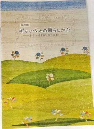 値下げ可能ミニギャベ●40×41㎝●手織●本物●新品未使用 遊牧民が紡ぐギャッベ