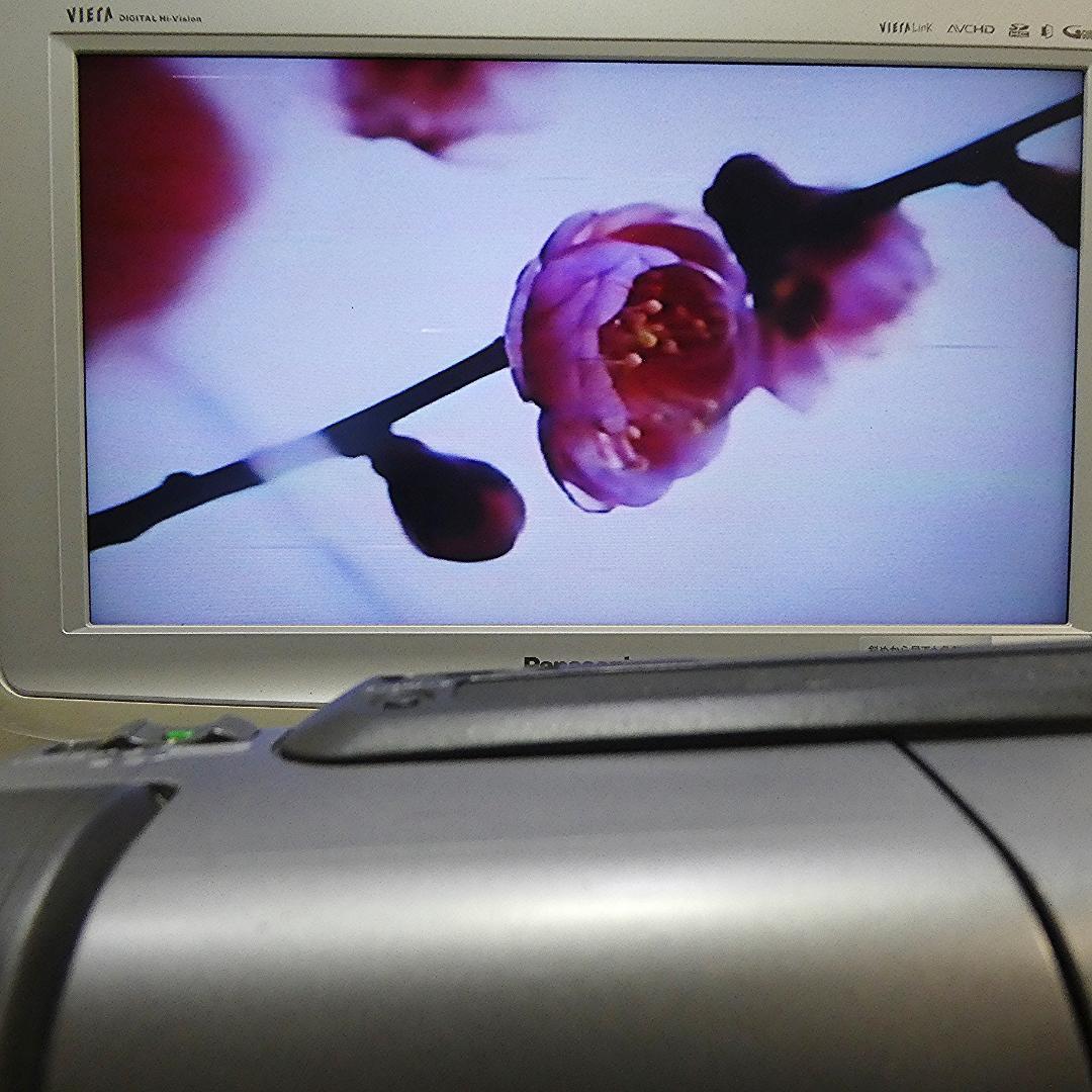 動作良好 ソニーVideoHi8 CCD-TR3000 8ミリビデオ　DVD化に