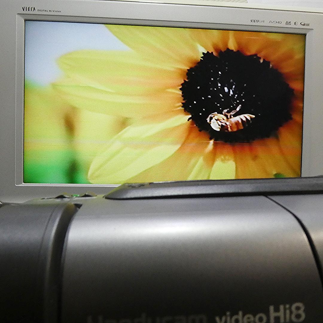 動作良好 ソニーVideoHi8 CCD-TR3000 8ミリビデオ　DVD化に