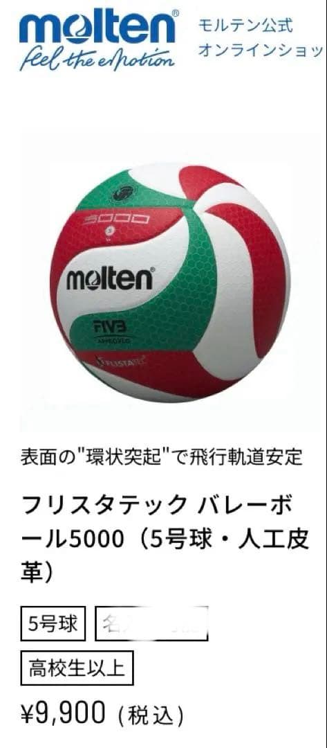バレーボール2個セット