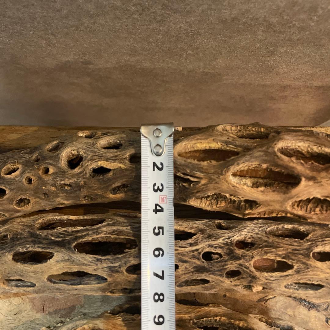 【まるさん専用】オーダーメイドカクタスパーチ相談ページ