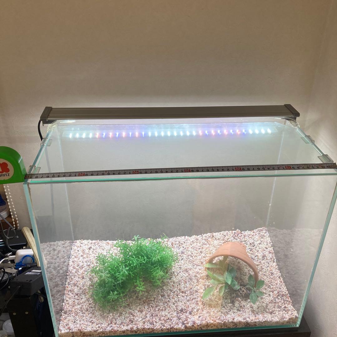 水槽セット　水槽台付き