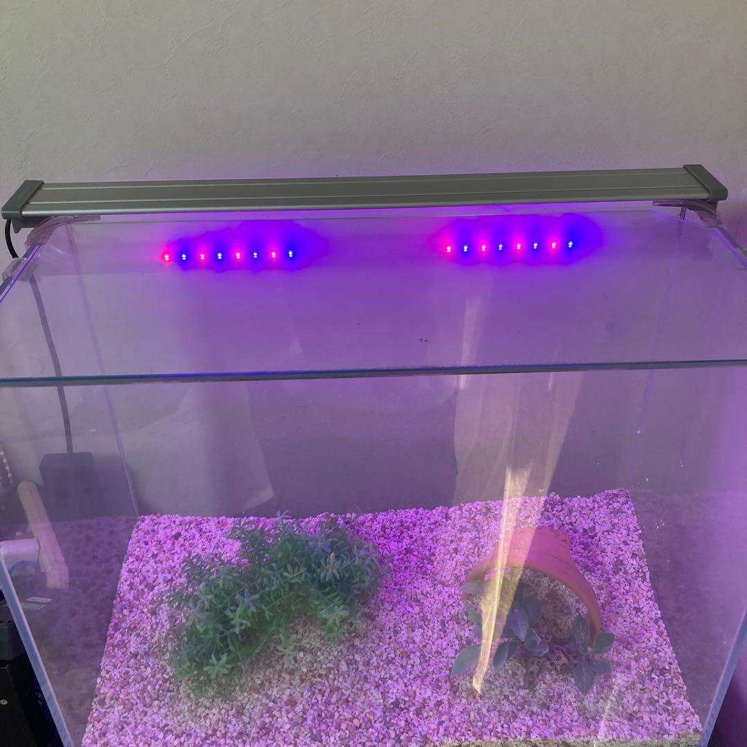 水槽セット　水槽台付き