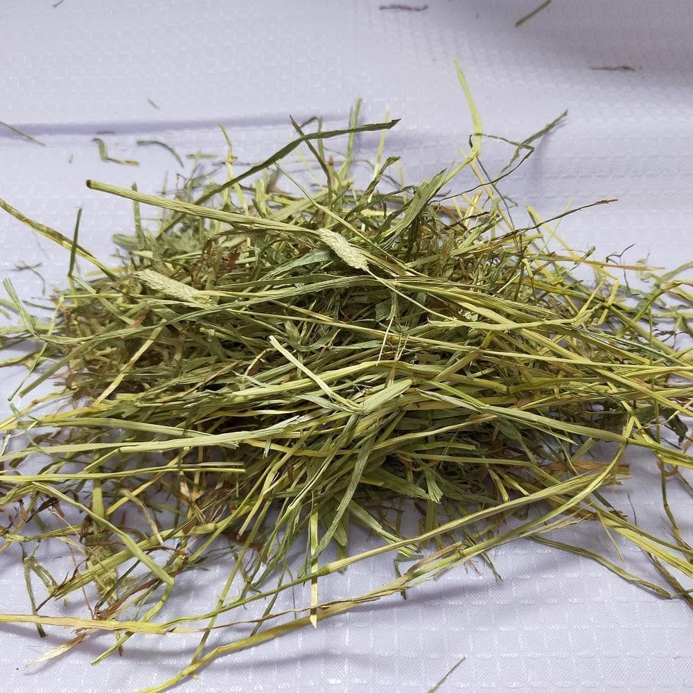 【処分価格】US産 チモシー 50kg ２番刈 ソフトSプレミアム