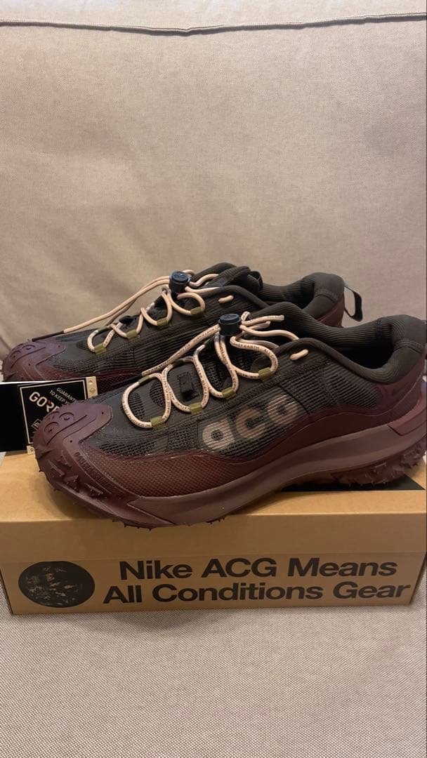 靴 Nike ACG Mountain Fly 2 Low GTX 28.5cm
