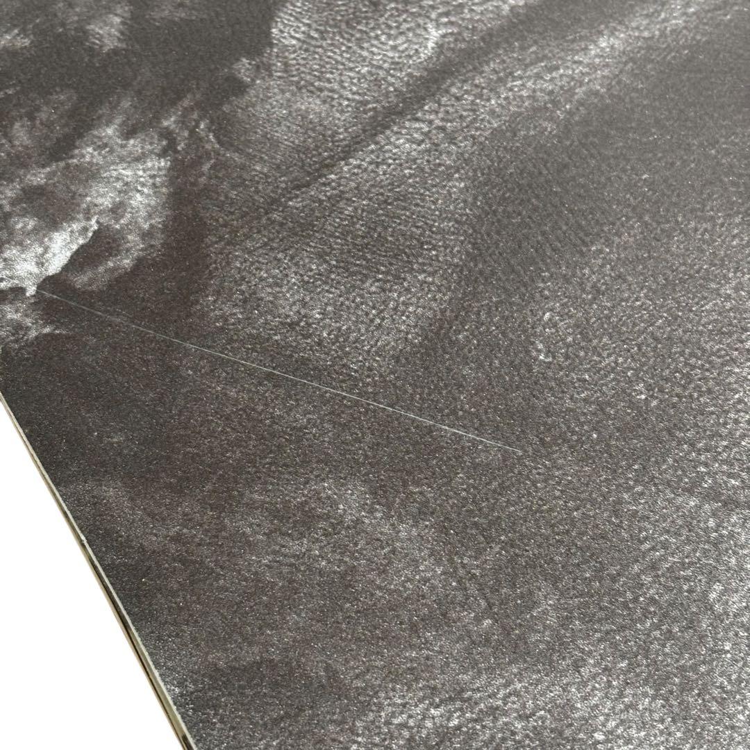 RIDE ライド HELLCAT 147 スノーボード