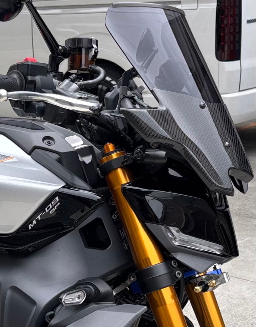 MT-09 才谷屋バイザースクリーンスモーク　カーボンプロテクターセット