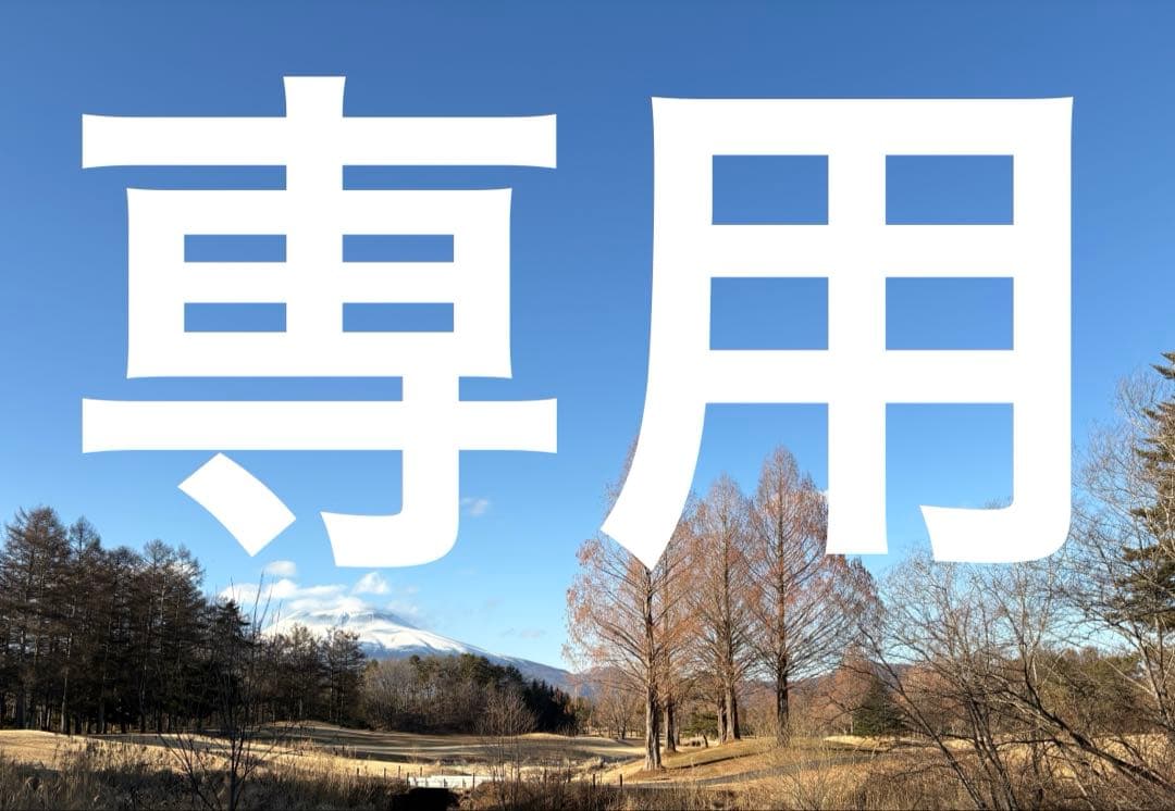 専用　【３９Ａｒｉｔａ 】素敵なコーヒータイムにプレミアム セラフィルターセット