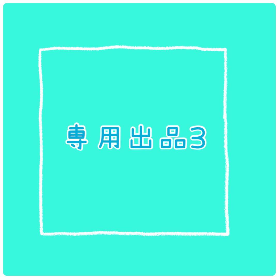 専用出品3