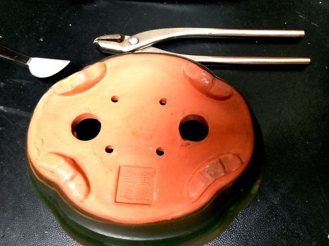 【小品　糸魚川真柏盆栽】　　　⭕小品No.1お気に入り品 ★あきちゃん様…専用★