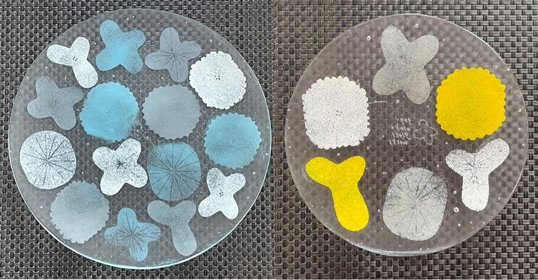 【新品】八木麻子 プレート2枚、bouquet ブーケ、wreath リース