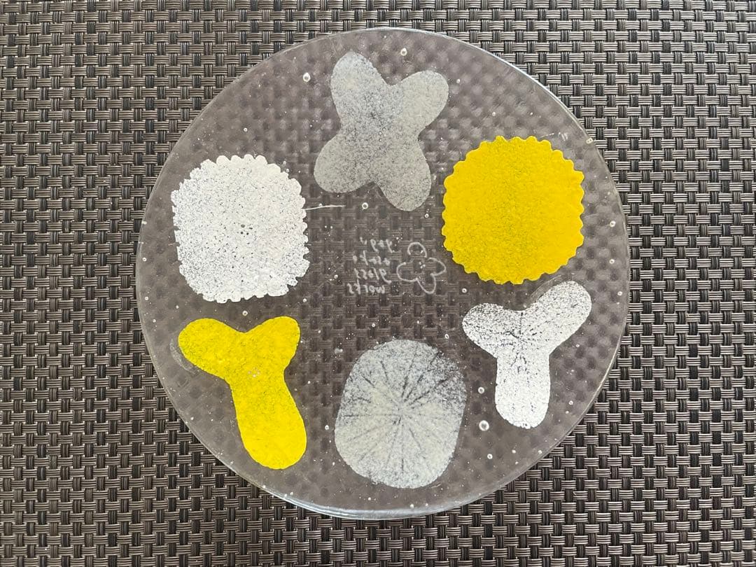 【新品】八木麻子 プレート2枚、bouquet ブーケ、wreath リース