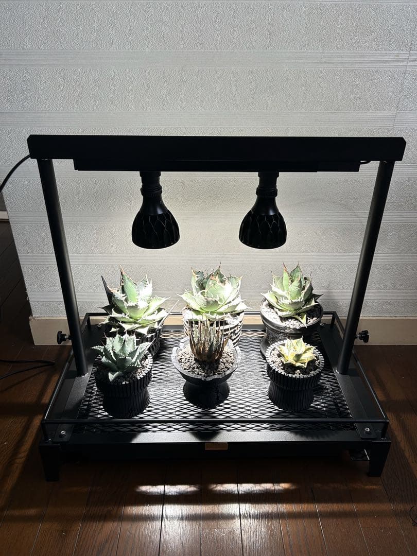 ☆送料込み☆植物棚スターターセット即購入OK 植物育成　アガベ　塊根　什器