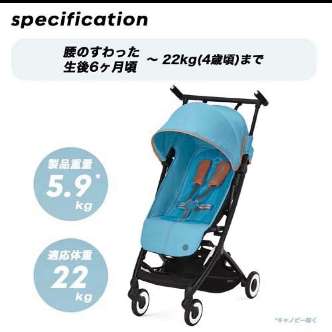 サイベックス リベル グレー トラベルバック付き