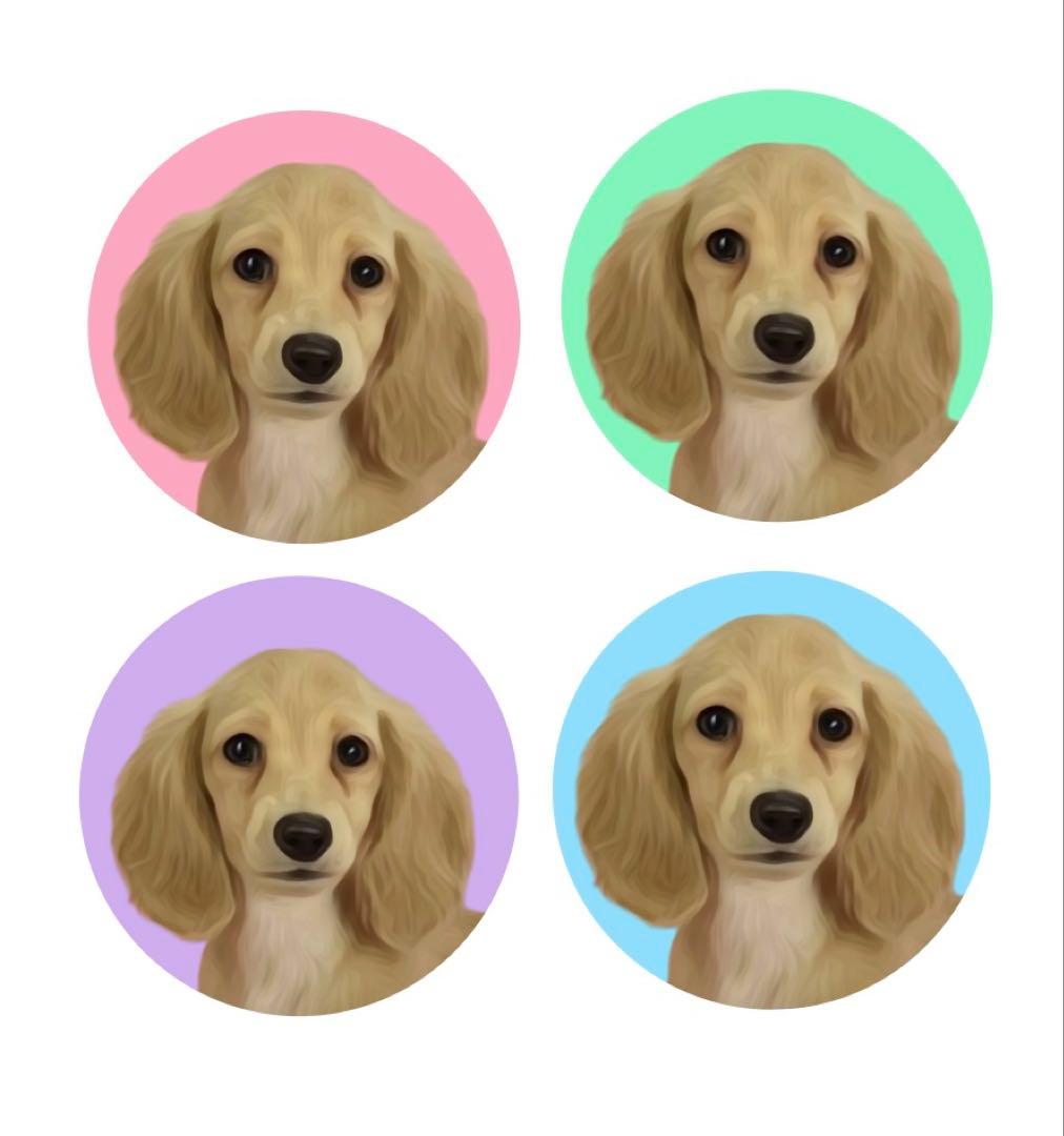 オーダーページ ダックス 缶バッジ ロゼット ハンドメイド