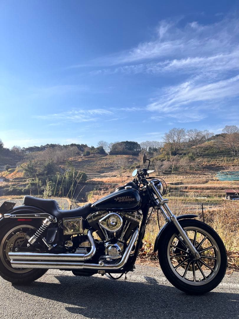 ヨ*ー様 【最終値下】EASYRIDERS 04-05ダイナ用シート