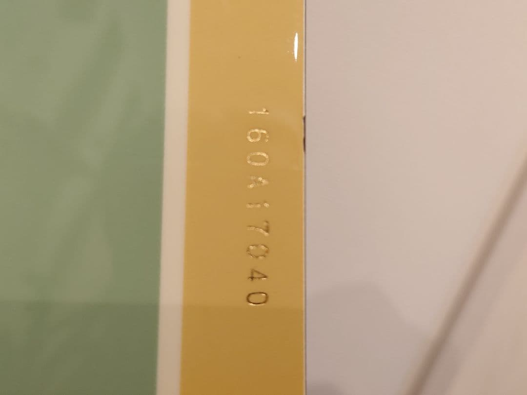 最終値下げ！！ MOSS BOARDING Q60　バインディングセット