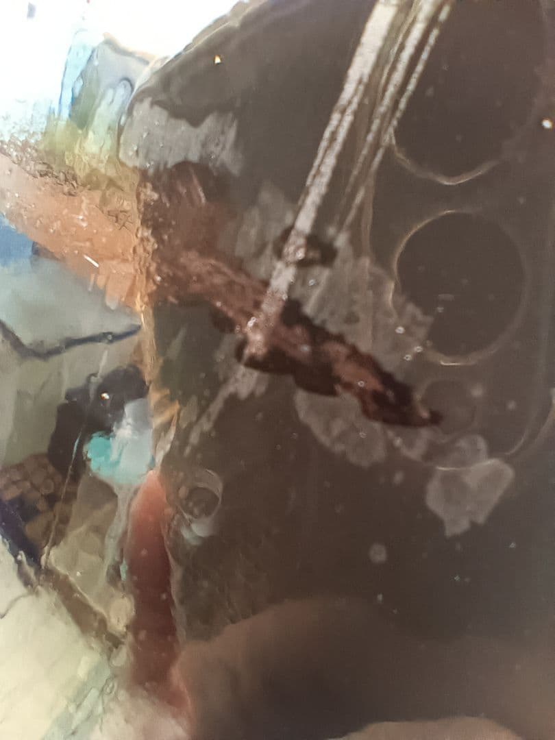 【訳あり】特大植木鉢　コラム3480