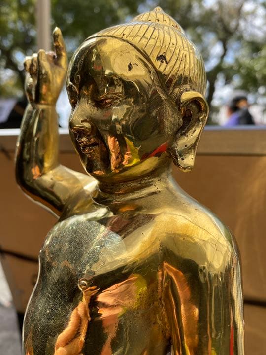 誕生釈迦仏立像　天上天下唯我独尊