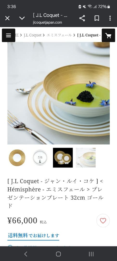 J.L Coquet ジャン・ルイ・コケ　ゴールドストライプ 大皿2枚セット