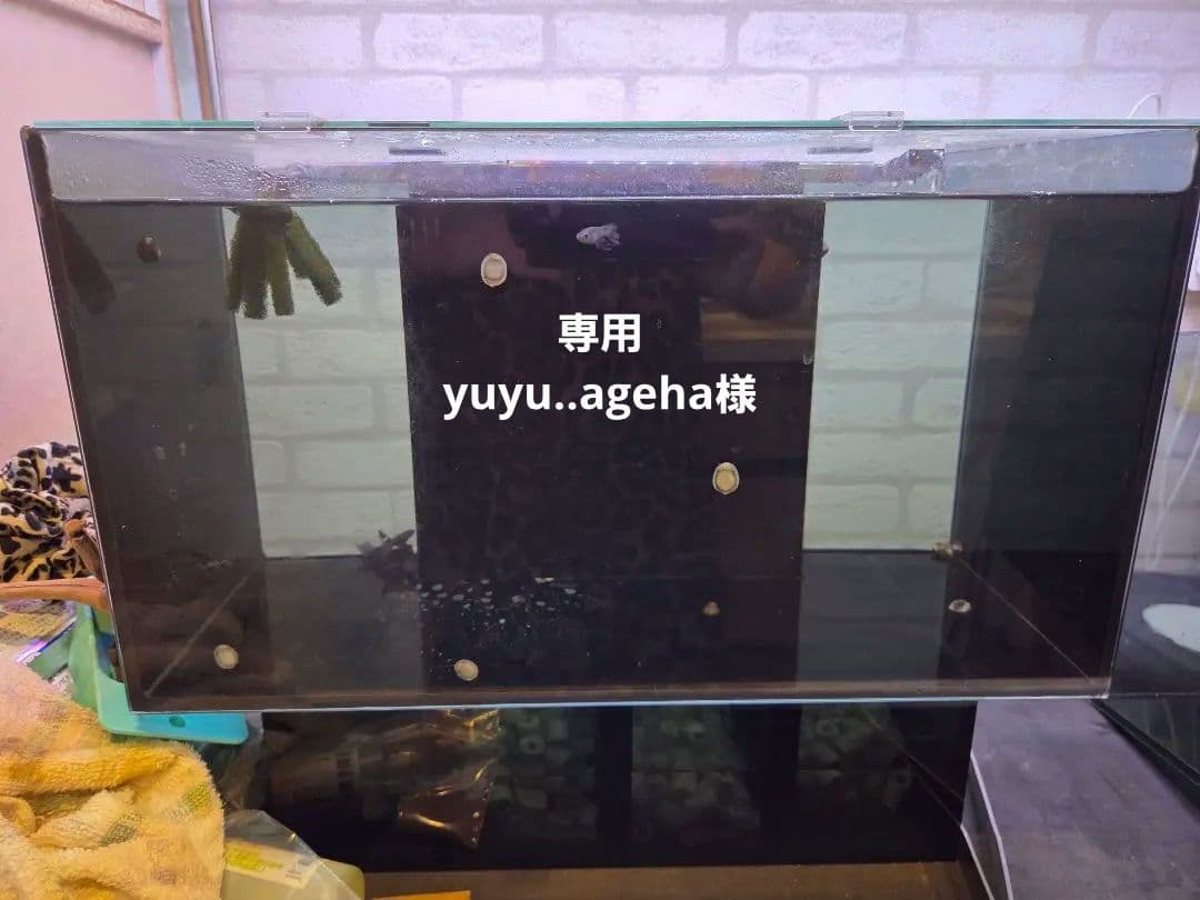 GEX グラステリア AGS OF-450 オーバーフロー水槽