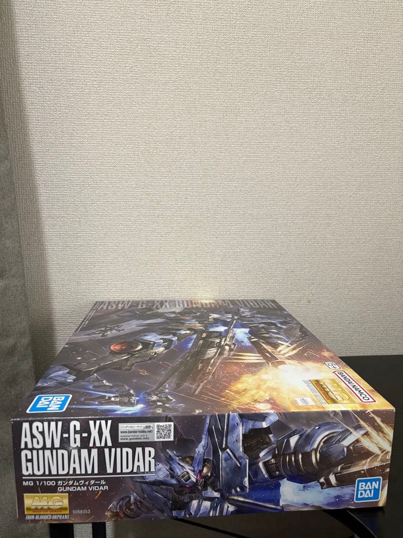 MG 1/100 ガンダムヴィダール