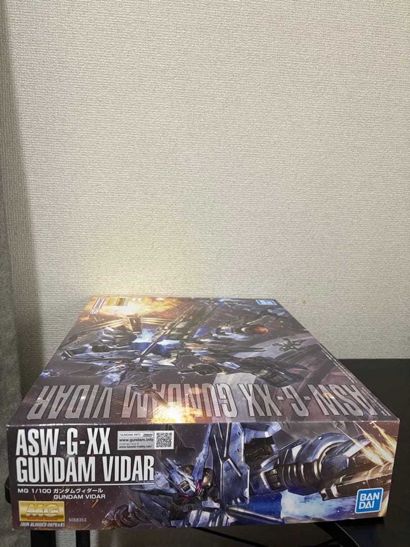 MG 1/100 ガンダムヴィダール