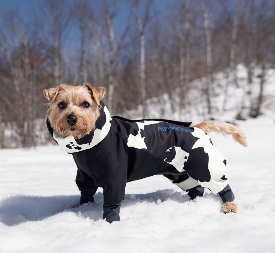 ALPHAICON アルファアイコン ドッグガードエアー　牛柄　サイズSM