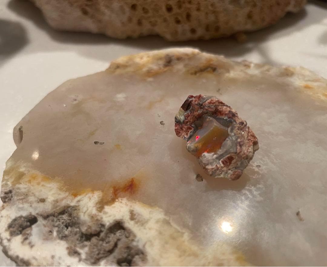 鉱物 : ファイヤーオパール　原石