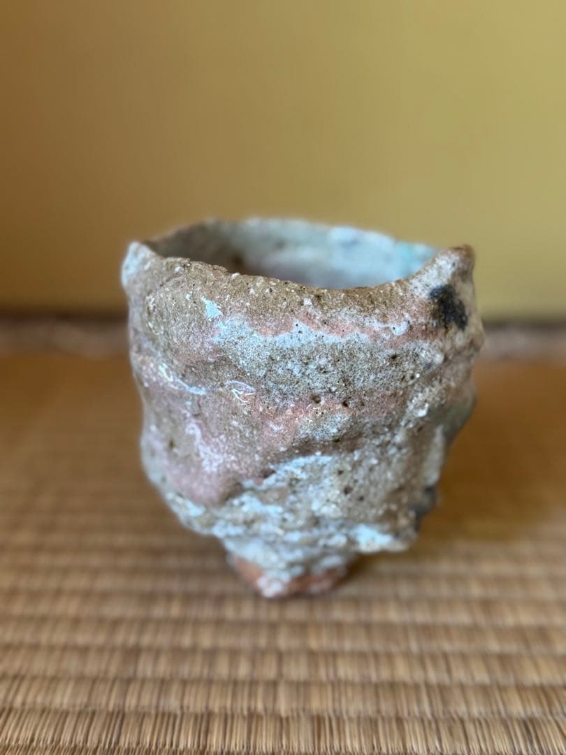 Simon manoha 茶碗　フランス人作家