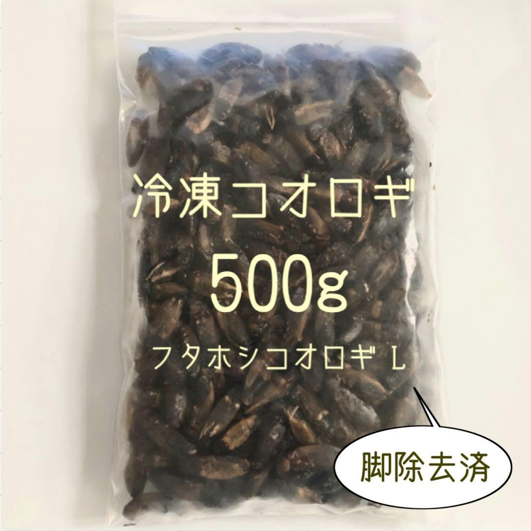 冷凍コオロギ　500g ×2 冷凍こおろぎ