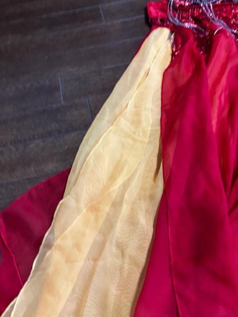 ベリーダンス ISIS YO Belly Dance Costume