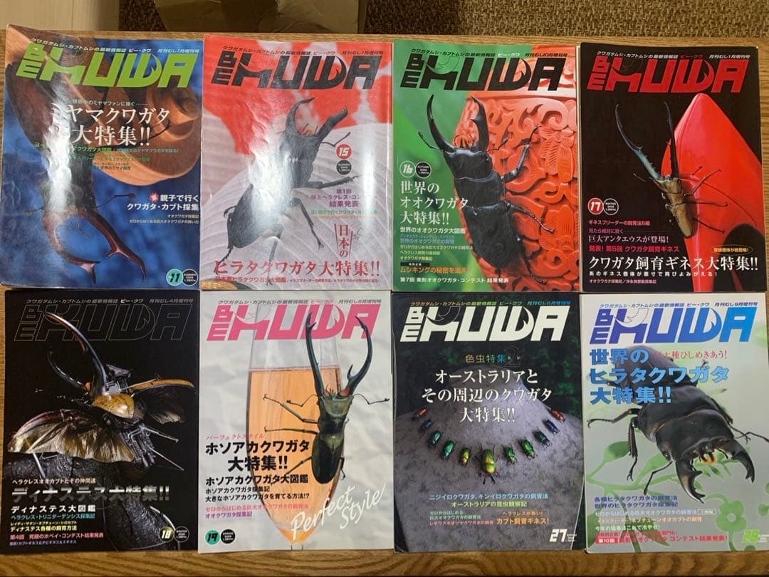BE KUWAビークワ 25冊、昆虫フィールド2冊セット