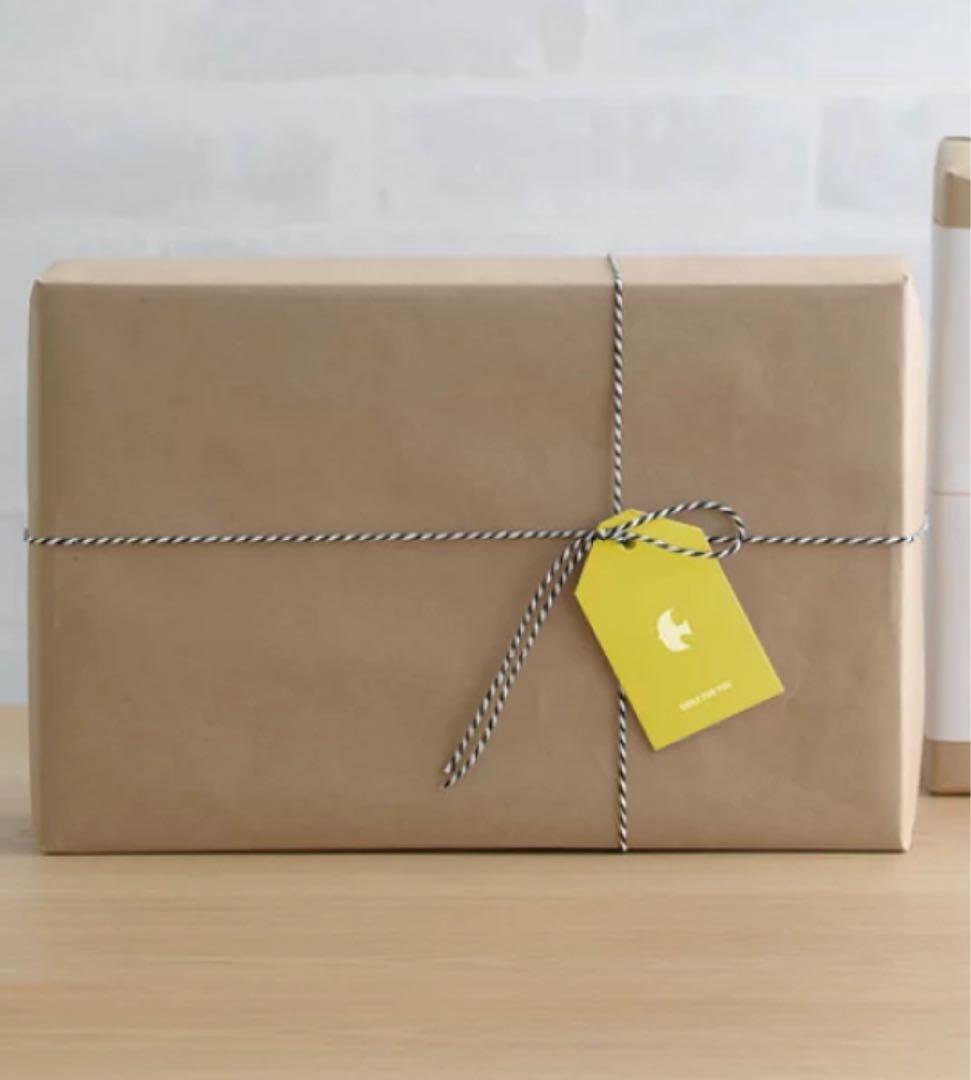 【ラッピング済】新品未使用　ほぼ日のアースボール　ジャーニー