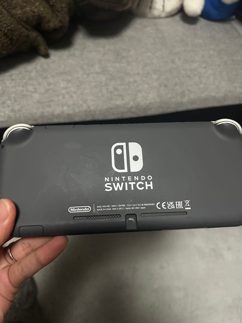 Nintendo Switch Lite 本体2台 + ケース