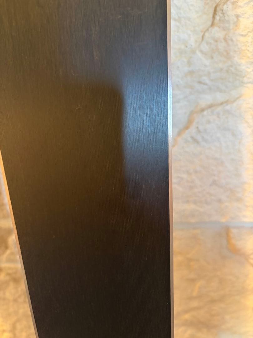 Salomon X-Pro スキー 板