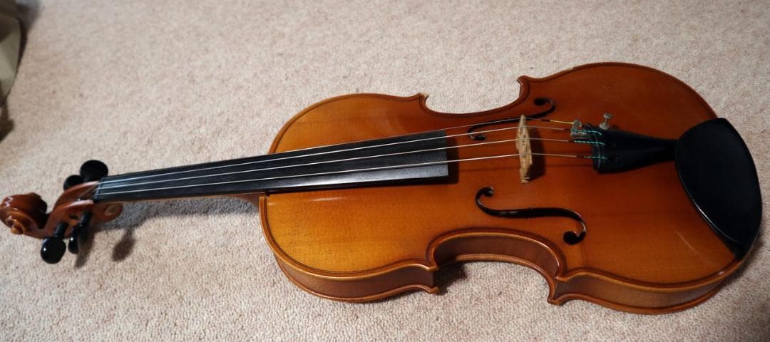 カールヘフナーのバイオリン