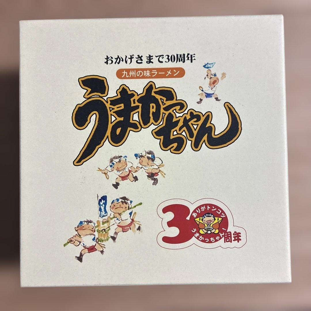 うまかっちゃん　30周年　うまかっちゃん丼　どんぶり　有田焼　新品未使用