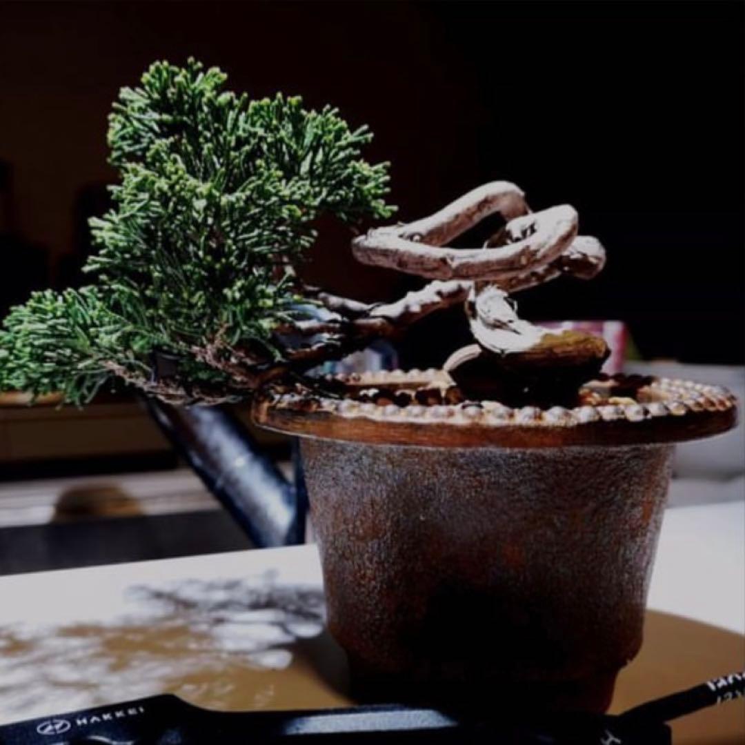 【南部鉄器】JIBLANT ジブラント 植木鉢 南部鉄鉢 ARARE 白金色