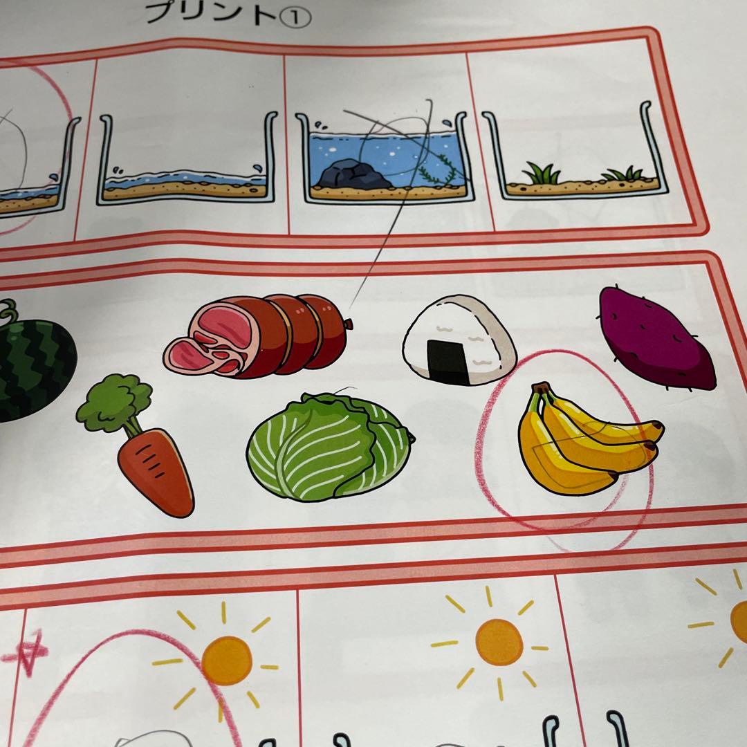 しょうがくしゃ　講習プリント　洛南高附属小　小学校受験