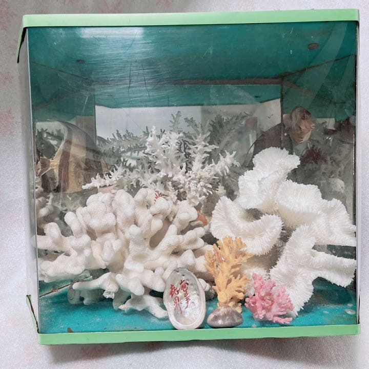 珊瑚と貝の置物　魚　红珊瑚　金運　財運　　標本レベル　開運