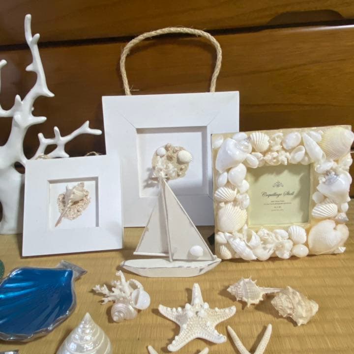 インテリア 海 マリン 貝 サンゴ ブルー ビーチ